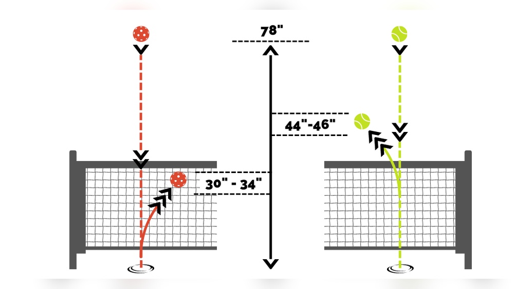 Pickleball Net Vs Tennis Net