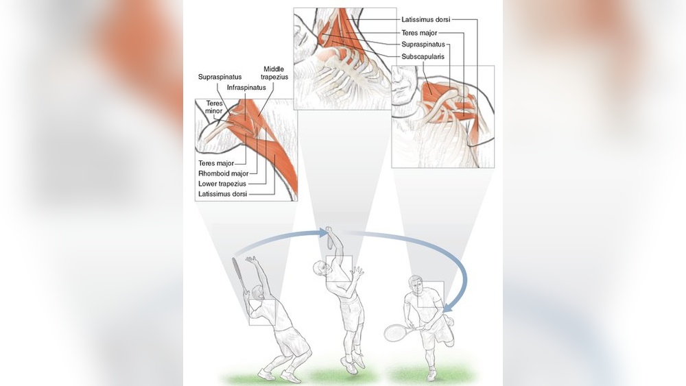 What Muscles Does Pickleball Work? Full Body Benefits Explained What Muscles Does Pickleball Work